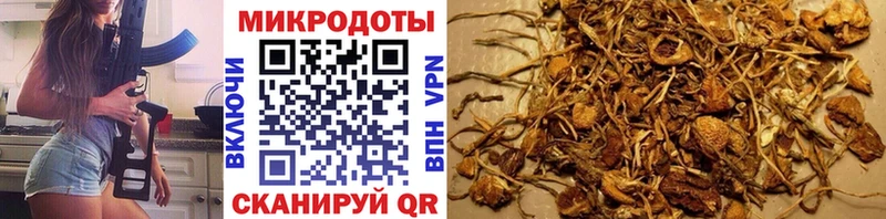 blacksprut ссылки  Балей  Галлюциногенные грибы Cubensis 